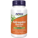 Şimdi Gıdalar Immune Support Supplements, Astragalus Ekstra 500 mg (% 70 Polysaccharides) 90 Veg Capsules
