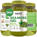 Sea Moss Gel Matcha Green Tea 24oz Wild Truthrafted Gold Sea Moss Gel Saint Lucia | 92 Vitamin ve Minerals | Pure Raw+Non-GMO