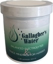 Gallagher's Water Balanced Electrolytes and Trace Minerals for Horses, 1LBB