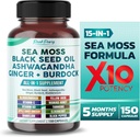 Sea Moss Black Seed Oil Ashwagandha Ginger Burdock Bladderwrack - Υποστήριξη Ανοσίας - Κατασκευάζεται στις ΗΠΑ
