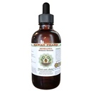 Rehmannia Alkol Özgür Sıvı Ekstraksiyon, Organik Rehmannia (Rehmania Glutinosa) kuru Kök Glycerite Natural Herbal Supplement, Hawaii Pharm, USA 2 fl.oz