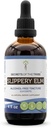 Μυστικά της Φυλής Slippery Elm Υγρό Εκχύλισμα Χωρίς Αλκοόλ, Αυθόρμητα εκτρεφόμενο Slippery Elm (Ulmus Rubra) Αποξηραμένος Φλοιός 4 FL OZ