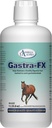 Ωμέγα άλφα GastraFX (32 oz)