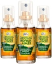 Arılife Propolis Throat Spray- Soothing Honey & Ginger Propolis- Natural Immune Support & Bee Propolis Ekstraksiyon-Antioksis, Rich in Flavonoids & Artepillin, No Sugar, Gluten-Free- 3-Pack, 90 ml