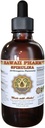 HawaiiPharm Spirulina Sıvı Ekstraksiyon, Organik Spirulina (Arthrospira plakansis) Tincture, Herbal Supplement, ABD'de 2 fl.oz