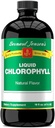 Bernard Jensen'in% 100 Pure Natural Chlorophyll Flavor Liquid Supplement | Addsacene Ph | Temiz Kana Yardım | 16 Akışkan Ounce (474 ml)