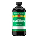 Bernard Jensen's 100% Pure Natural Chlorophyll Flavor Liquid Supplement | Promotes Alkaline Ph | Helps to Cleanse Blood | 16 Fluid Ounce (474 ml)