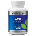 Επαγγελματικά Βοτανικά Συμπληρώματα Adrenal Complex – Υποστηρίζει Υγιεινή Επινεφριδιακή λειτουργία, Αγχωτική ανακούφιση, και Ενεργειακά Επίπεδα – 90 Χορτοφαγικές κάψουλες
