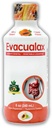 Senna Liquid Laxative for Adults & Kids - Papaya Flavor, Natural Senna Leaf & Prune - Αποσκληρυντής για Ανακουφισμό της Δυσκοιλιότητας - Φυτικό Σιρόπι για Υποστήριξη Μπόουελ, Digestive Cleanse - 8oz