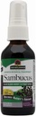 Doğalar Sambucus Poly