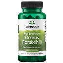 Swanson Full Spectrum Coleus Forskohlii 400 Milligrams 60 Κάψουλες