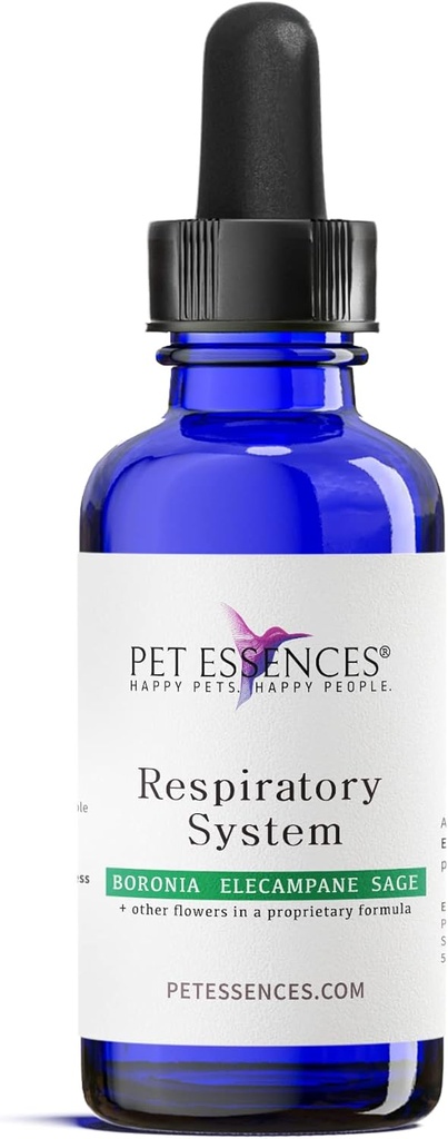Köpekler, Kediler ve Atlar için Respiratory Sistemi
