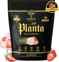 Ambrosia Planta - Premium Plant-Based Protein | Vegan & Keto Friendly | Gurating or Stomach Upset | No add Sugar | 14 Services | (Strawberry Ice Cream)