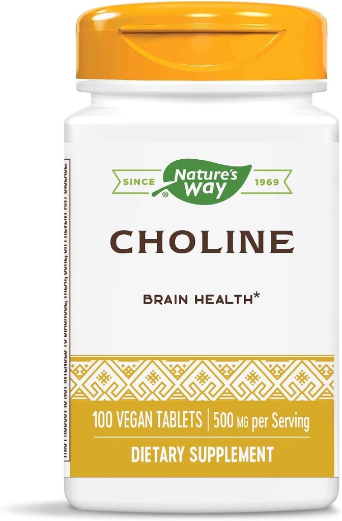 Doğanın Yolu Choline, hizmet başına 500 mg, 100 Tablet (Pack of 2)