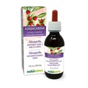 Naturalma Ashwagandha (Withania somnifera) Βάμμα χωρίς αλκοόλη - 4 fl oz εκχύλισμα υγρού σε σταγόνες - συμπλήρωμα βοτάνων - Vegan