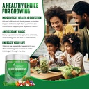 Supergreens Veggies Gummies - Vejetaryen Fiber Çocuklar için Gummies - 35+ Essential Green Superfoods & Support Immunity & Gut Health - 4g of Fiber per Two Gummy (60 Count)