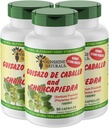 Sunshine Naturals Guisazo & Chancapiedra Herbal Mix, Natural Diyetary Supplement for Wellness Support, 90 Capsules. 3 Paket 3