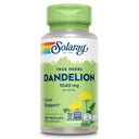 SOLARAY Dandelion Root Supplement - Υγιής Παιδική και ηπατική υποστήριξη - 1.040 mg ανά υπηρεσία - Vegan, Lab Επαληθευμένο, 60 ημερών εγγύηση - 50 εξυπηρετούν, 100 VegCaps