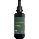 Global Healing Center - Organik Ashwagandha Supplements Drops - KSM-66 Erkekler ve Kadınlar için Ekstra Güç, Stresten Yardıma Yardımcı Olun, Mood Support, Organik (2 Fl Oz)