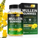 Lung Detox için Mullein Gummies, 2000 mg Mullein Leaf Extract for Respiratory & Digestive & Immune Support w/Quercetin, Bromelain, Elderberry & Marshm, Vegan 120 Gummies (1 şişe 60 diş) (1)