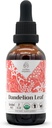 Dandelion Leaf USDA Organic Alcohol-Free Extract | Dietary Supplement, High-Potency Tincture, Digestive System | Natural Certified Organic Dandelion Leaf (Taraxacum Officinale) Dried Leaf 2 oz