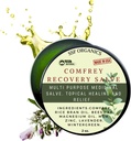 SSF Organiks Comfrey Recovery Salve. Organik Herbal Balm, Bones, Muscles, Ortaklar, Dizler, Skin, Swelling & & Care için. Elcrafted, Slow-Infüzyon. No Chemical Fillers. 2 oz