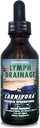 Carnivora - Lymph Drainage Drops - Stimulates ve Temizler Your Lymphatic System - Flushes Hücre Atıkları, Enerjiyi Güçlendiriyor, Eğle Mücadele Ediyor. 2 Fl Oz (Pack of 1)