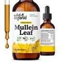 Wild & Organic Mullein Drops for Lungs - Lung Detox and Cleanse - Sıvı Mullein Leaf Tincture with Echinacea & Licorice Root - Vegan, Sugar & Alkol Ücretsiz Ekstra - 2 fl ozz