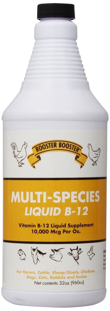 Rooster ATM B-12 Liquid, 32-Ounce