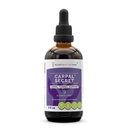 Kabil'in Sırları - Carpal Secret, Carpal Tünel Desteği, Herbal Supplement Mix Drops Alkol Özgür Sıvı Ekstraksiyon (4 f oz)
