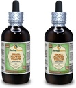Küçük Çiçek Willow (Epilobium parviflorum) Glycerite, kuru Herb Alkol Özgür Sıvı Ekstraksiyon (Brand Name: HerbalTerra, Proudly Made in USA) 2x4 fl.oz (2x120 ml)