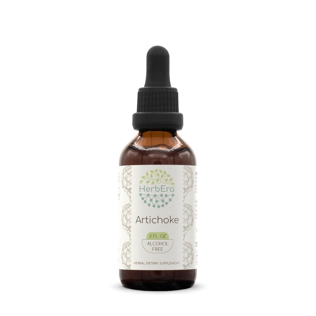 HerbEra Artichoke B60 Alkol-Free Herbal Extract Tincture, Tempd Liquid Drops Natural Artichoke (Cynara scolymus) (2 fl oz)