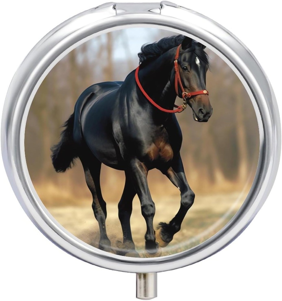 Pill Box 3 Karşılaştırmalı Yuvarlak Pill Organizer Small Pill Case for Travel Horse on Lawn Daily Metal Pill Container Portable Medicine Organizer for Vitamins Supplement Purse Pocket