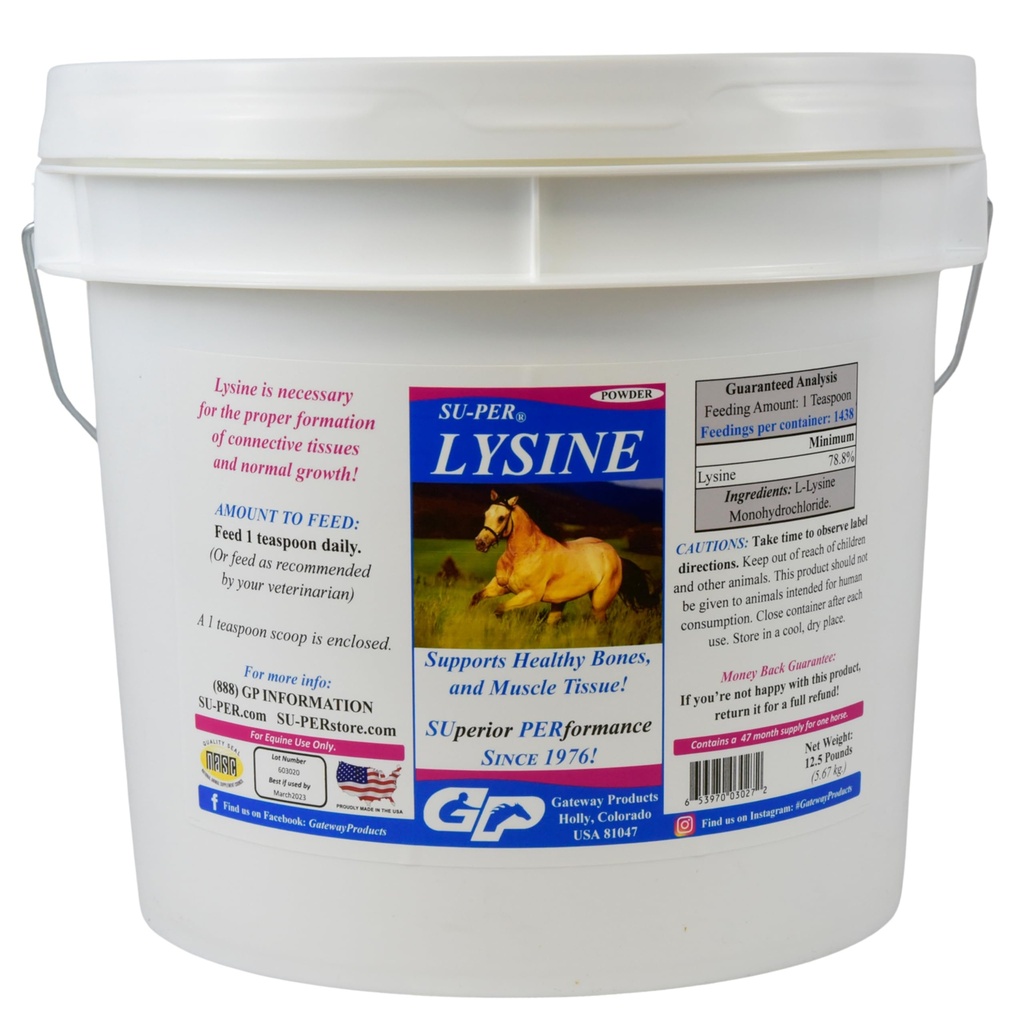 Atlar için Lysine Supplement - Sağlıklı Kemikler ve Kas Doku Dokular - Equine Essential Amino Asit - 12.5 Pound, 47 Ay Supply