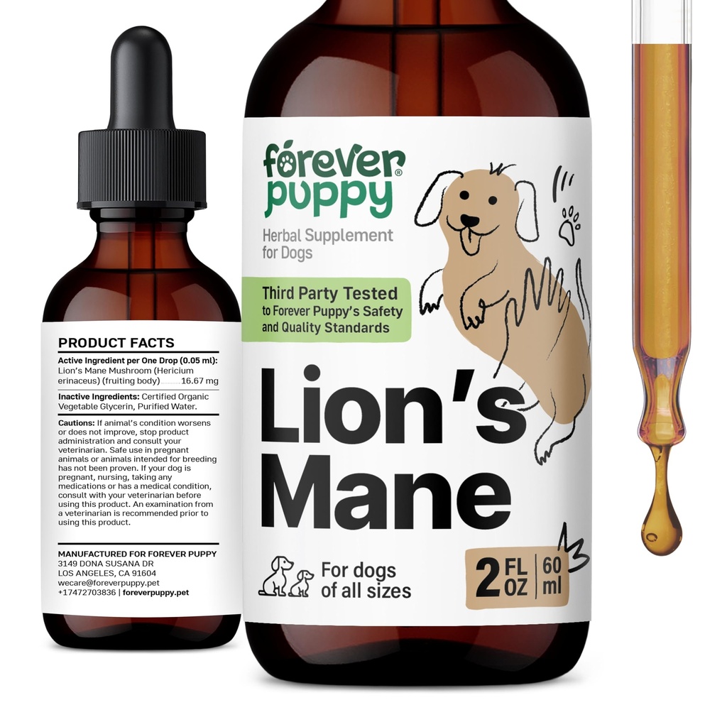 Sonsuza dek Puppy Lions Mane Mushroom Supplement for Dogs - Beyin & Focus Support - Sıvı Lion's Mane Mushroom for Dogs - Canine Vitamins and Supplements - Sugar & Alkol Free Drops - 2 fl oz