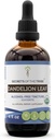 Secrets of the Tribe Dandelion Leaf Tincture USDA Organic Alcohol-Free Extract, High-Potency Herbal Drops, Tincture Made from Taraxacum Officinale Healthy Digestive System 4 oz