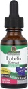 Doğa?s Cevap Lobelia Herb Lobelia Inflata - Natural Herbal Supplement - Gluten Alkol Özgür - Immunity General Health Wellness için ideal? 690