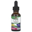 Doğa?s Cevap Lobelia Herb Lobelia Inflata - Natural Herbal Supplement - Gluten Alkol Özgür - Immunity General Health Wellness için ideal? 690