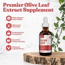 Rejuvica Active Olive Leaf Extract | Natural Occurring Ol Europein Liquid Drops for Immune & Heart Support | Fast-Abxia, Vegan, Alkol Özgür | 6 fl ozz