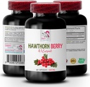 hawthorn meyve kapsülleri - HAWTHORN BERRIES EXTRACT - meyve alımı, vahşi meyve enerjisi, hawthorn meyve tenekesi, kadınlar için antioksidan takviyesi 1 Bot 60 Caps