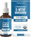 Organic Kids Methylfolate + Methyl B12 Cofactor - Organic Berry Flavor, Sublingual Form - 5-MTHF Form, Superior Form of Folate - Ρυθμιζόμενη Δοσολογία για όλες τις ηλικίες - Mood, Behavior, Cognition - 1 oz.