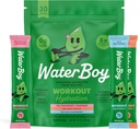 Waterboy Workout Hydration | 2,960mg Sugar Free Electrolyte Toz Paketleri | L-Glutamine + Vitaminler | No Sugar, All Natural, Gluten Free (Variety)