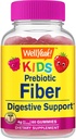 WellYes Prebiyotik Fiber Gummies for Kids - Digestive System Support, Doktor Önerilen - Vegan Dostu ve Gluten-Free, GMO Free - Yummy Berry Flavors - 60 Count Count Count