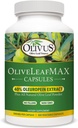 OliveLeafMAX Olive Leaf Extract (4% Oleuroepin) + Organik Zeytin Yemekleri Toz + No Fillers + 300 Vejetaryen Capsules + Kaynaklandı İspanya ve ABD'de GMP Tesisinde Üretildi