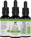Active Folate Pure Liquid Extract Supplement - L-Methylfolate for Better Abors, Brain Health, Find Cellular Function, Support Immune System, Water ► B Complex, 1oz - Ziggy Health tarafından
