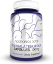 Nootropics Depot Polygala tenuifolia Capsules | 100mg | 90 Count | 20:1 Extract | Yuan Zhi | Promotes Cognitive Function, Learning and Memory | Supports Healthy Stress Levels | Adaptogen Supplement
