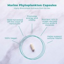 Vegan Yaşam Beslenme - Deniz Phytoplankton Capsules - Gluten-Free, Vegan ve Non-GMO Diyetsel Supplement with Alfa 3 CMP to Support Cellular Health, Energy, & Vitality - 30 Capsules - Gluten-Free, Vegan and Non-GMO Diyetary Supplement with Alfa 3 CMP to Support Cellular Health, Energy, & Vitality - 30 Capsules -