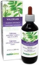 Naturalma Valerian (Valariana outicinalis) Kök Alkol Özgür Tinkture - 6.76 fl oz Sıvı Ekstraksiyon - Herbal Supplement - Vegan
