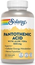 SOLARAY Pantothenic Acid 500mg - συμπλήρωμα παντοθενικού οξέος (βιταμίνη Β5) - Απαραίτητη βιταμίνη συμπλέγματος Β - νευρικό σύστημα και κυτταρική ενέργεια Υποστήριξη - Vegan, χωρίς γλουτένη, 60-ημέρα Guaratee, 250 εξυπηρετούν