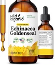 Wild & Organic Echinacea Goldenseal Liquid Drops - Immune Support Supplement w/Goldenseal Echinacea Root Extract - Vegan, Sugar & Alkol-Free Tincture - 2 fl ozzz